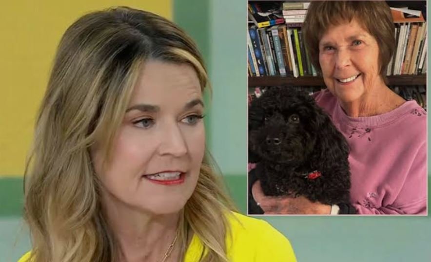 zxzjhxjzhxjz